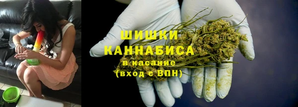 мяу мяу мука Аркадак