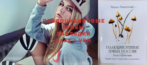 Альфа ПВП Армянск